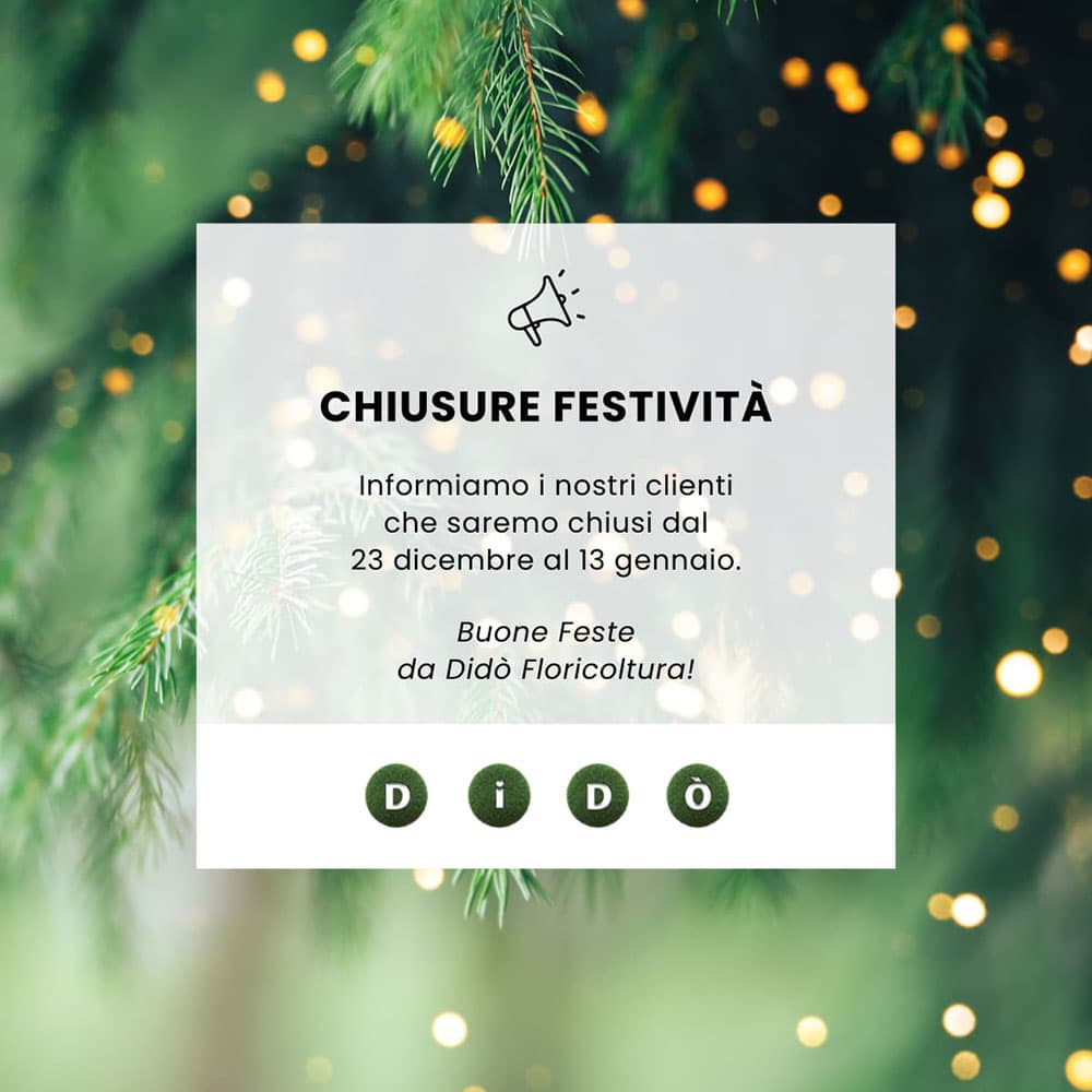 Popup chiusura festività natalizie 2024 - Informiamo i nostri clienti che saremo chiusi dal 23 dicembre al 13 gennaio. Buone feste!